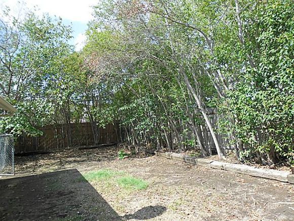 22_11671557_7_1404022118_636x435